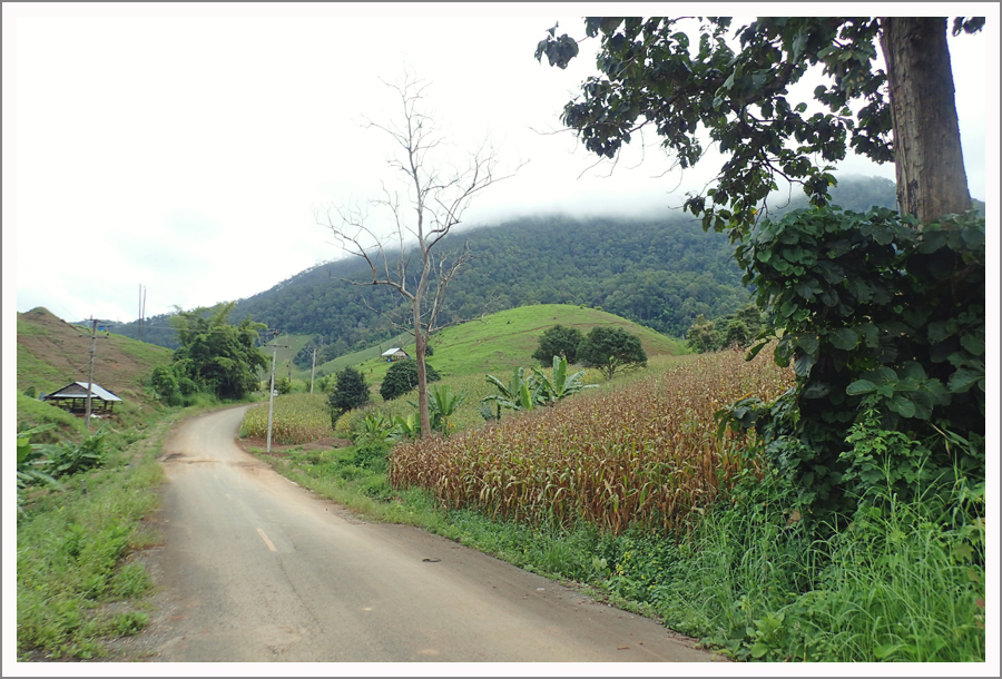 PA131011.jpg