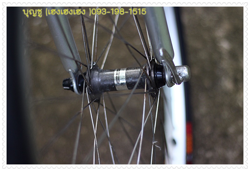 miyata_21.jpg