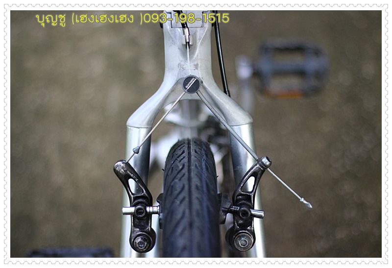 miyata_26.jpg