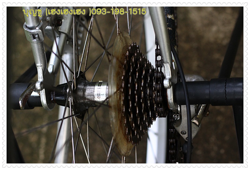 miyata_27.jpg