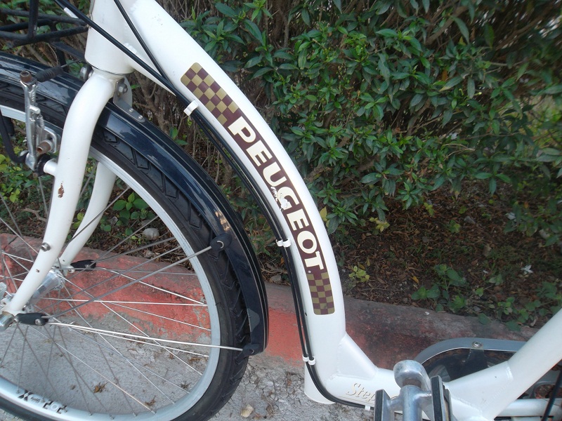 030.JPG