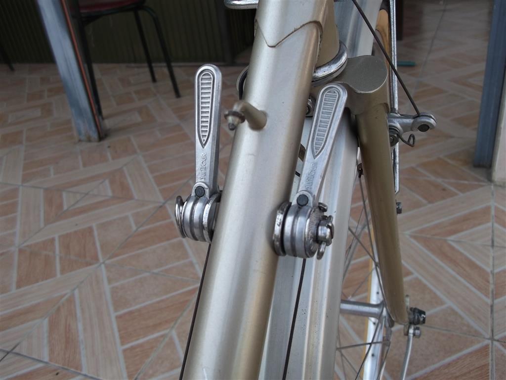 DSCF7771 (Medium).JPG