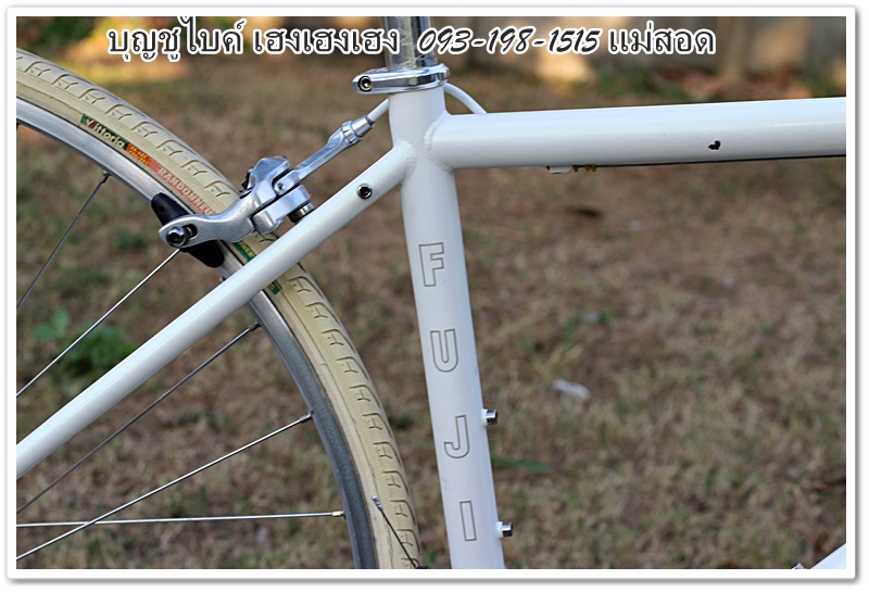 FUJI (12).JPG