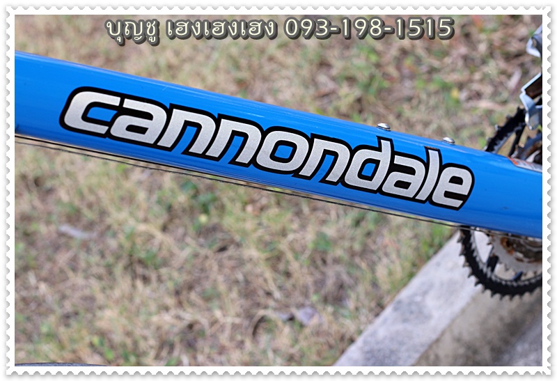 cannondale_10.jpg