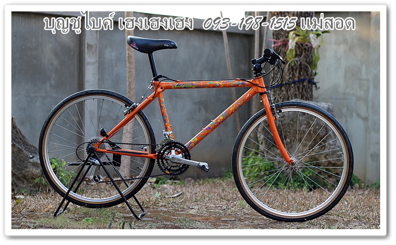 MIYATA (27).JPG