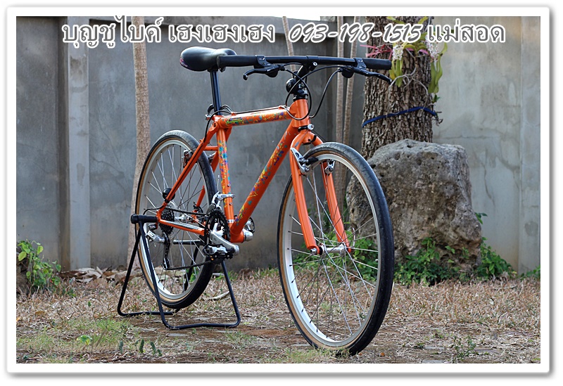 MIYATA (1).JPG