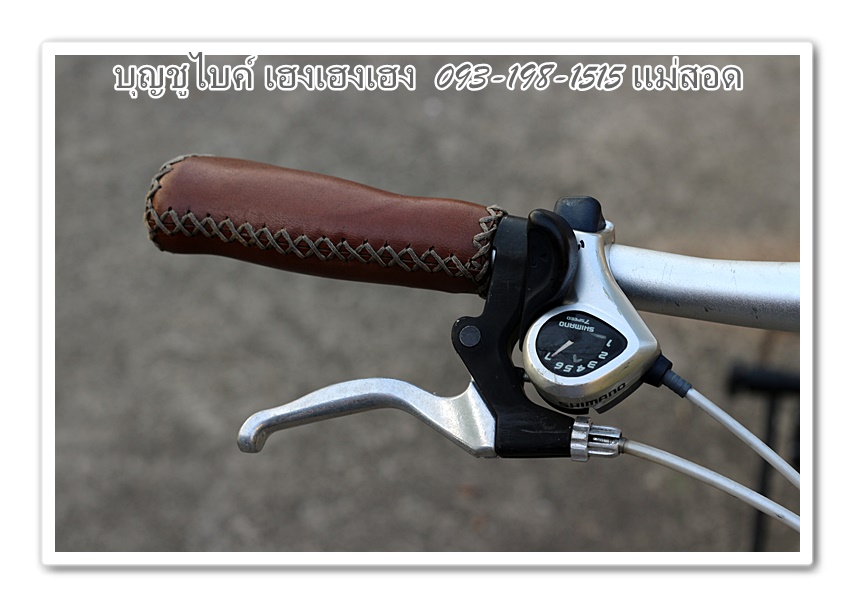 DAHON (15).JPG