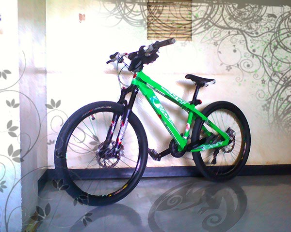 P6.jpg