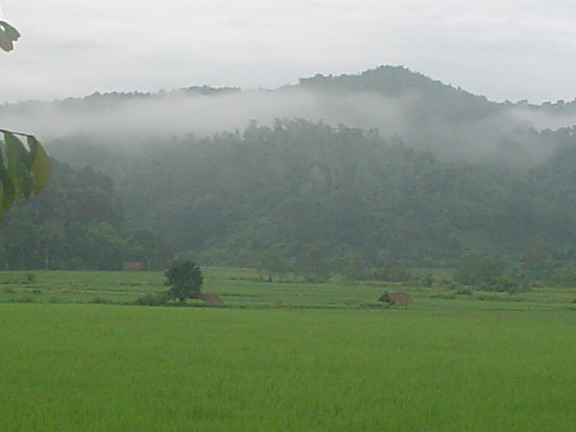 สวยมะเชียงรายของเราไม่ต้องดิ้นรนไปขี่ต่างประเทศให้เสียดุลการค้าหรอก