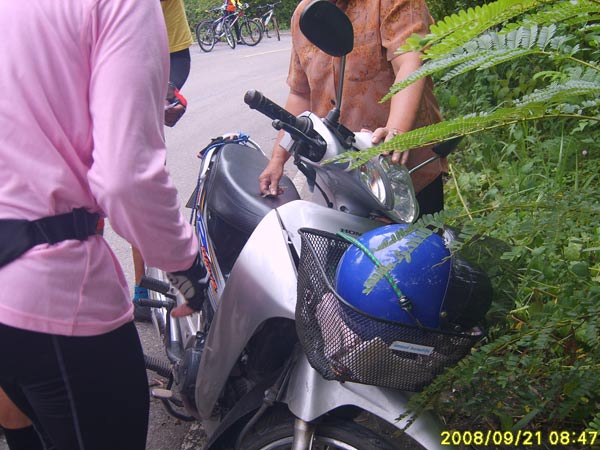 41.jpg