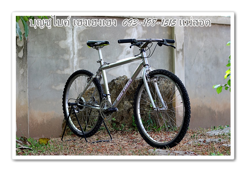 MIYATA (3).JPG
