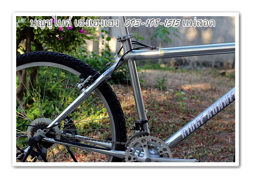MIYATA (13).JPG