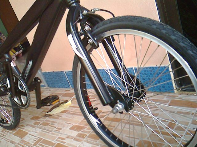 IMG0379A.jpg