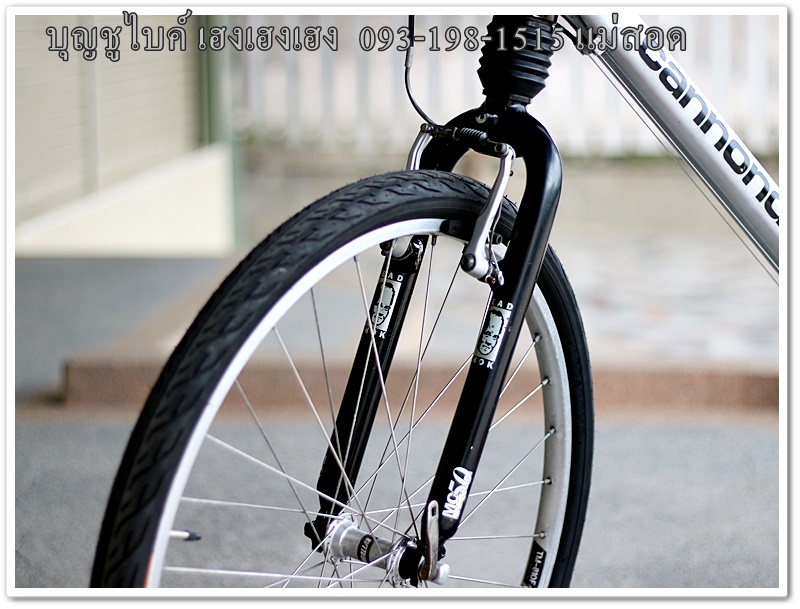 cannondale_09.jpg
