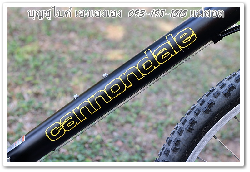 cannondale16.jpg