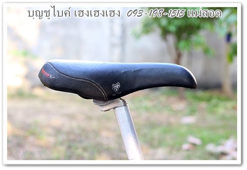 cannondale27.jpg