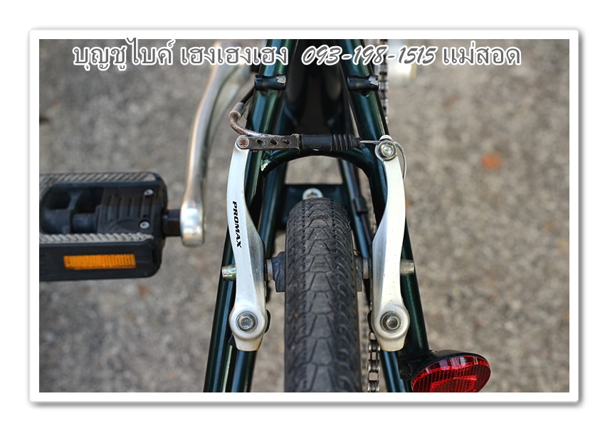 dahon17.jpg