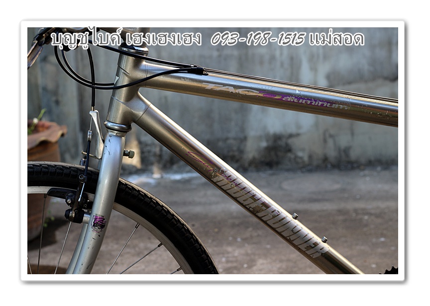 miyata6.jpg