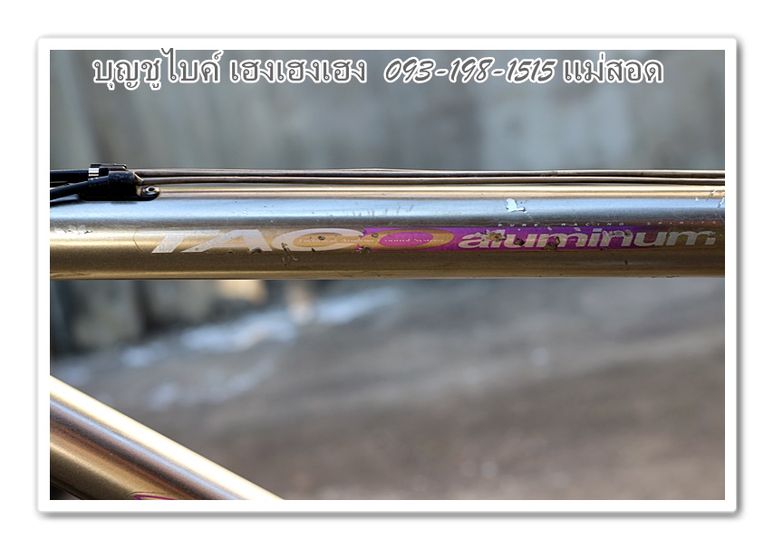 miyata9.jpg