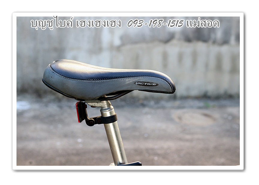 miyata25.jpg