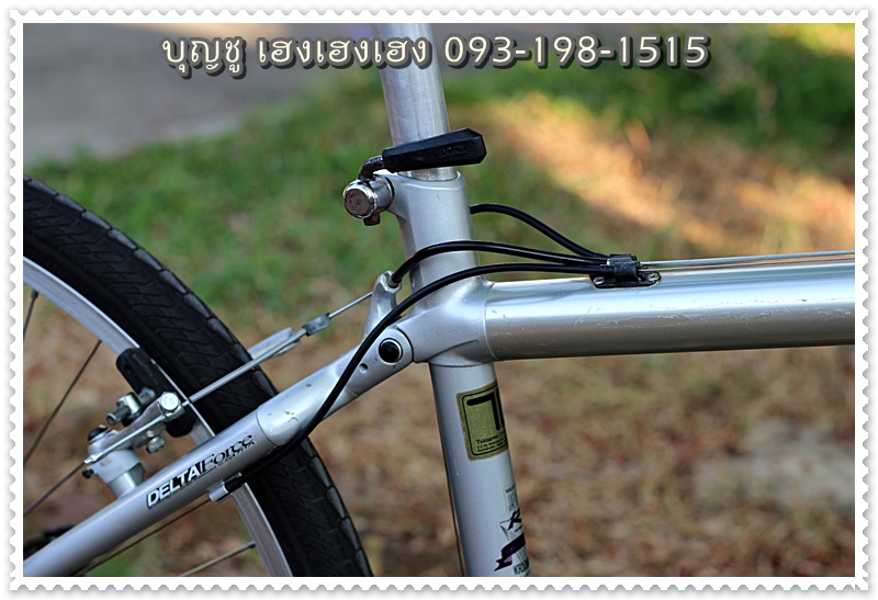 MIYATA_15.JPG