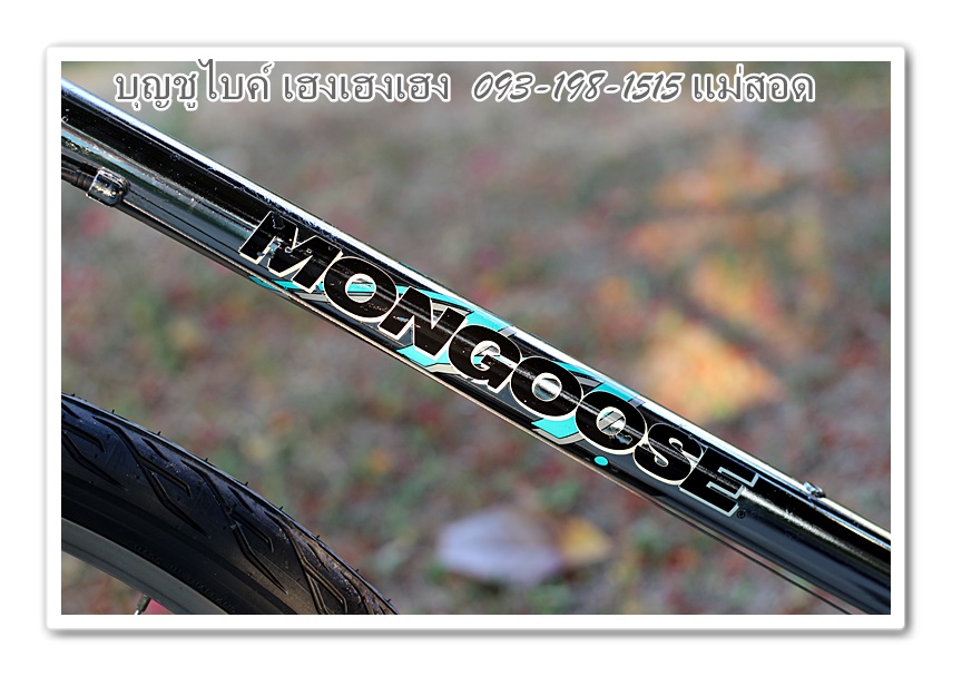 mongoose9.jpg
