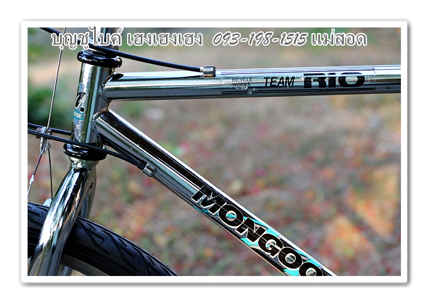 mongoose11.jpg