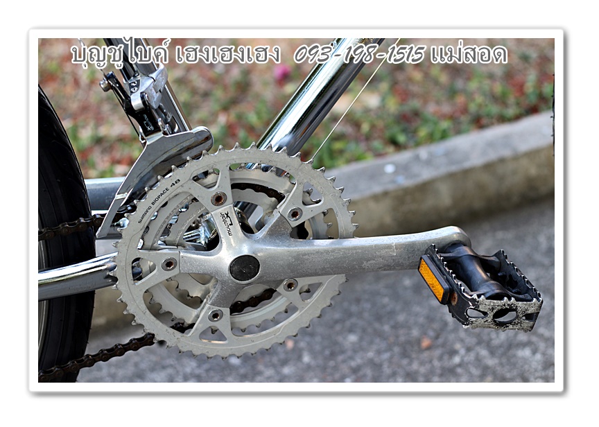 mongoose25.jpg