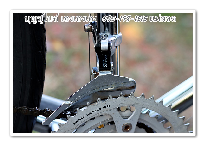 mongoose26.jpg