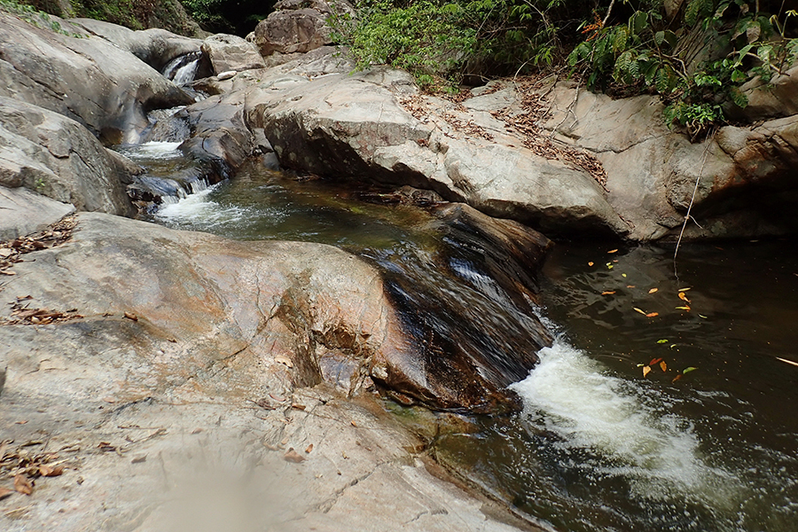 P4080235.JPG