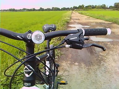 PIC00015_resize.jpg