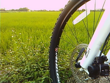 PIC00017_resize.jpg