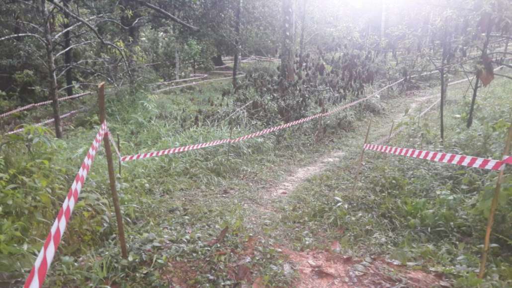 ริ่ว8.jpg
