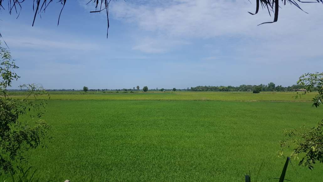 20170612_094707.jpg