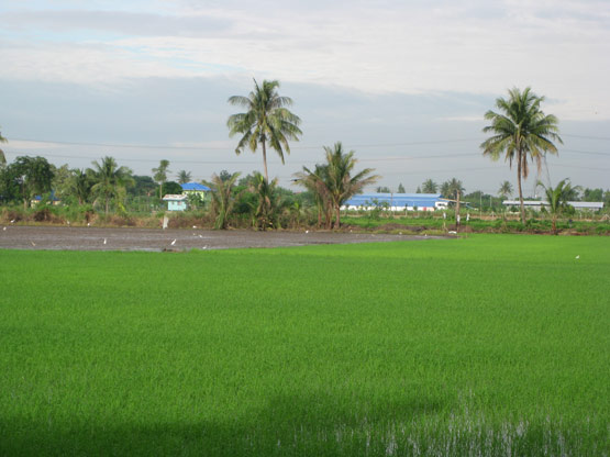 Trip011.jpg