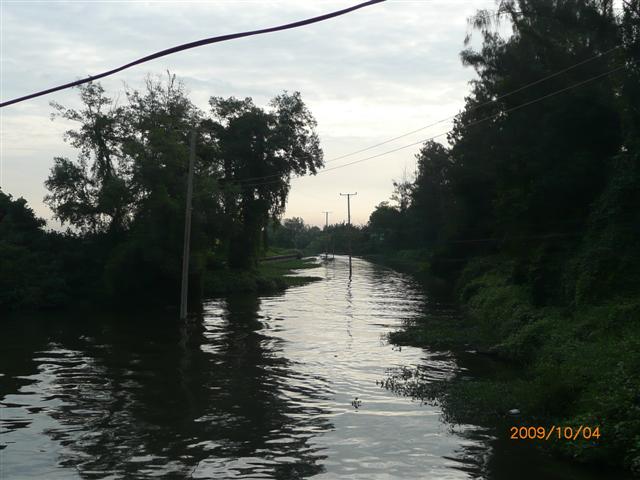 P1110381 (Small).JPG