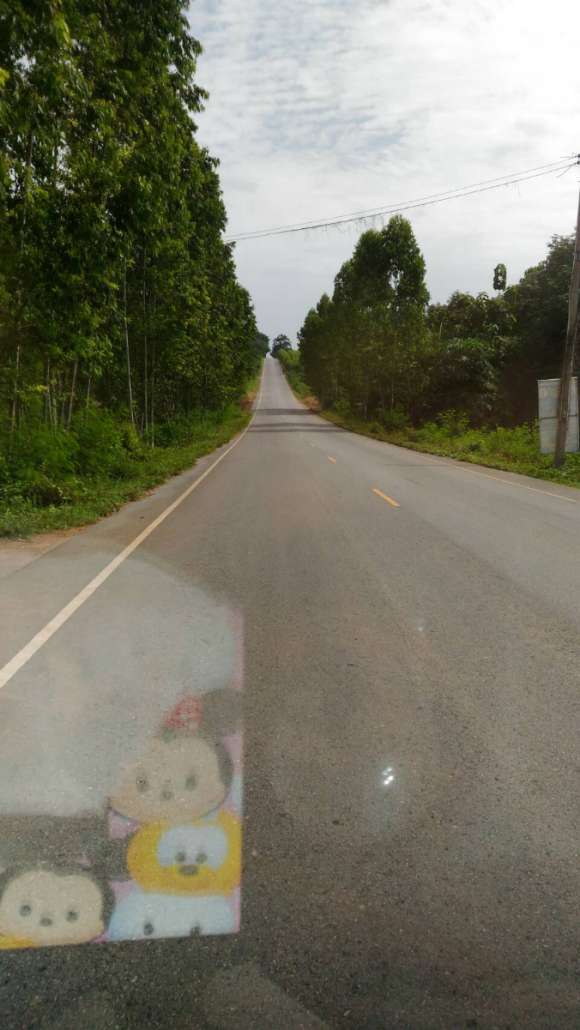 84008.jpg