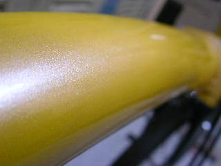 SANY3198.JPG