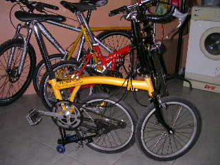 SANY3199.JPG