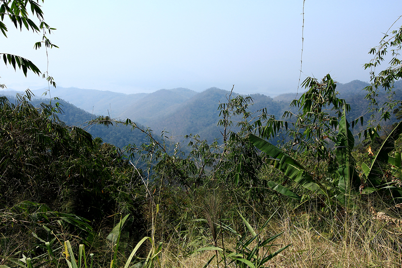 DPP_5002.jpg