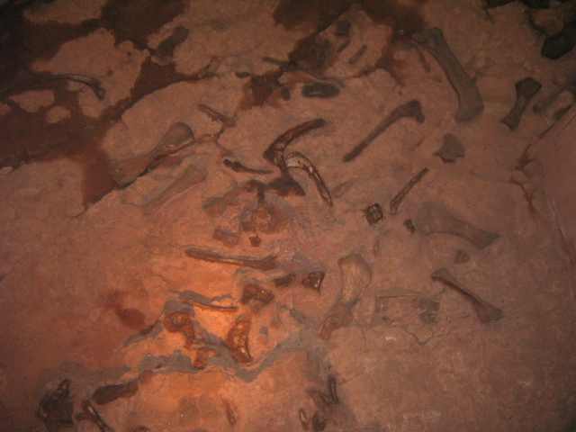 Image00113.jpg
