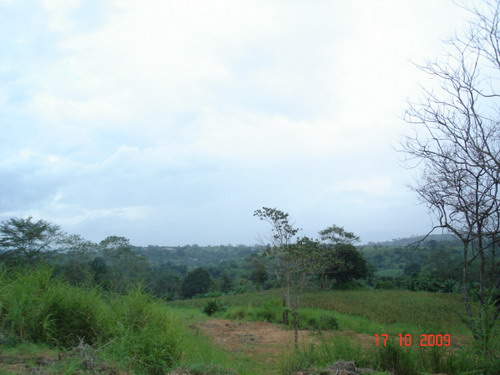 DSC00088.jpg