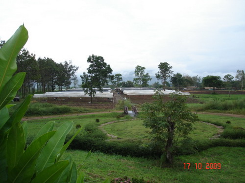 DSC00141.jpg