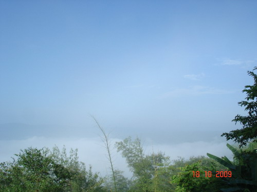 DSC00175.jpg