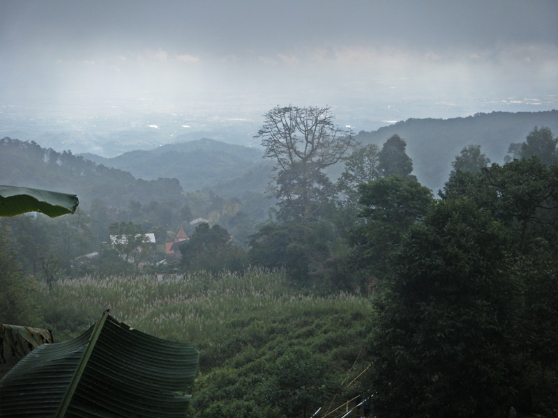 DSCF3316.JPG