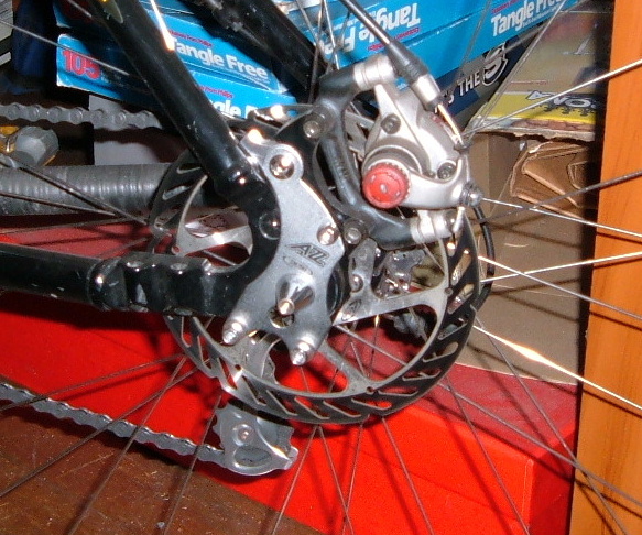 2005_0218eddiscAdap0013.JPG