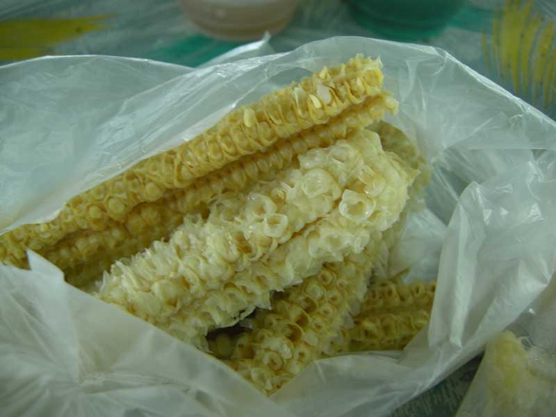 DSCN6947.jpg