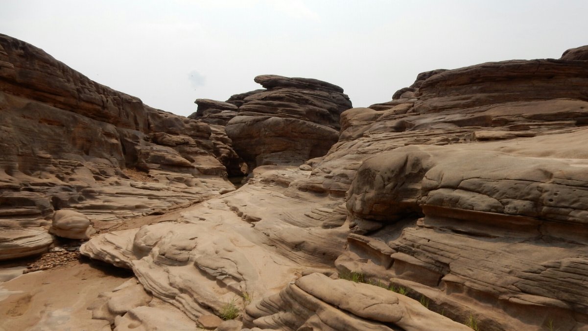 DSCN1733.JPG