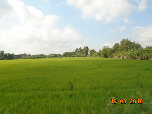 DSC06652.JPG