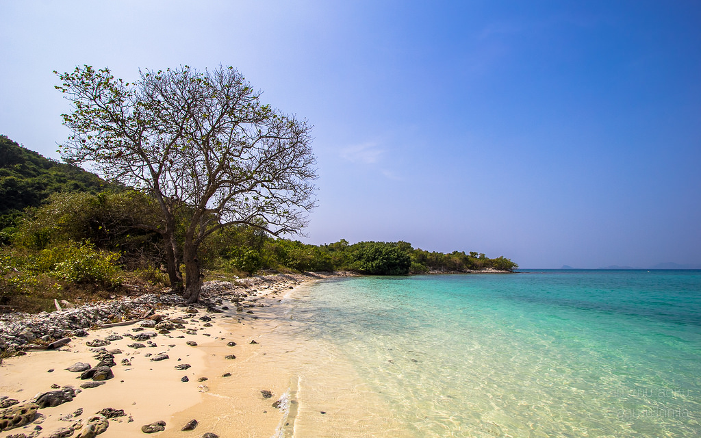 เกาะขาม.jpg
